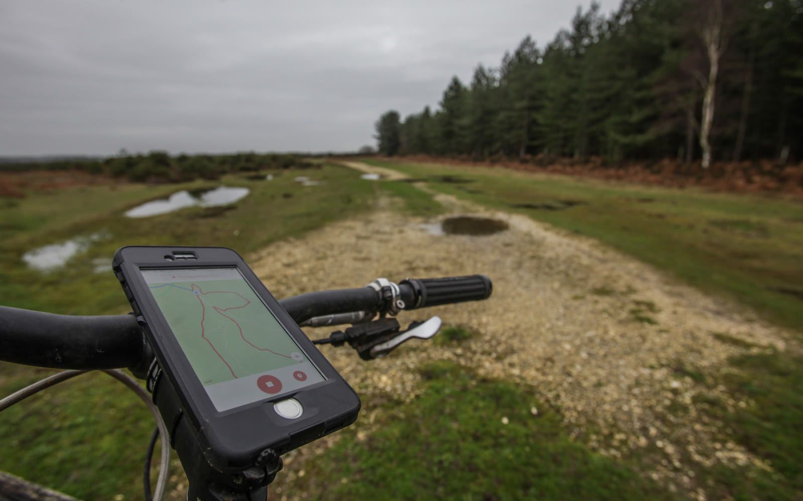 A Strava Art ‘Riding the Pony’ Challenge in the New Forest